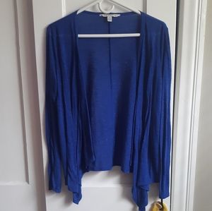 American Eagle Cardigan